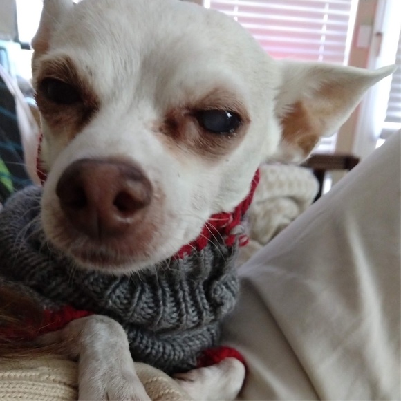 Monkey Thanks You For Stopping By Our Closet! <3 - Picture 1 of 1